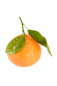 Le Citrus aurantium en phytothérapie