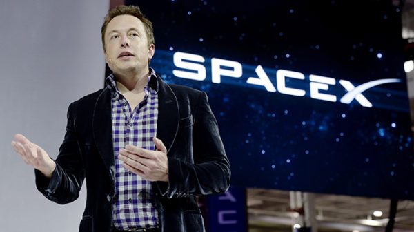 elon