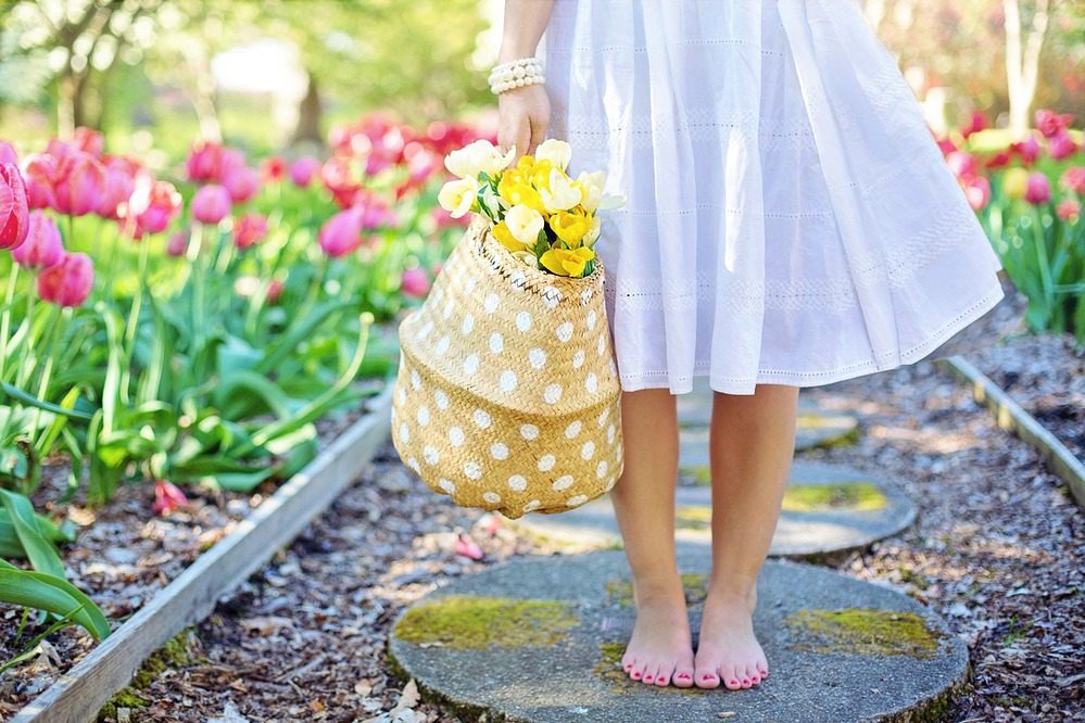 tulipes dans des paniers