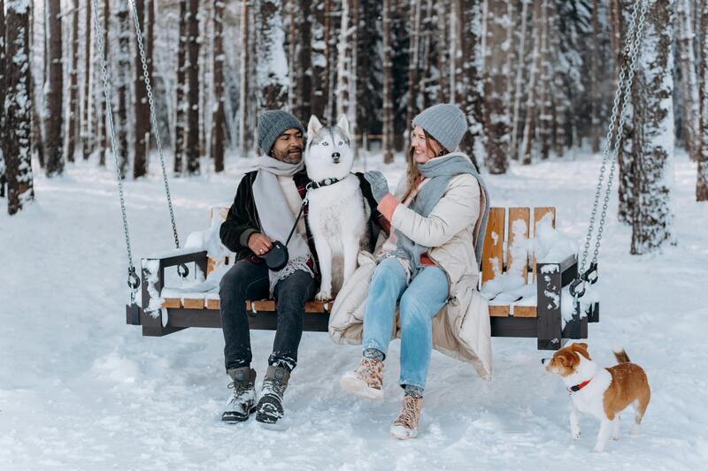 un husky avec ses propriétaires